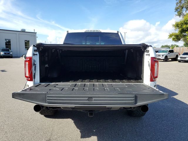 2019 Ford F-150 Raptor 10