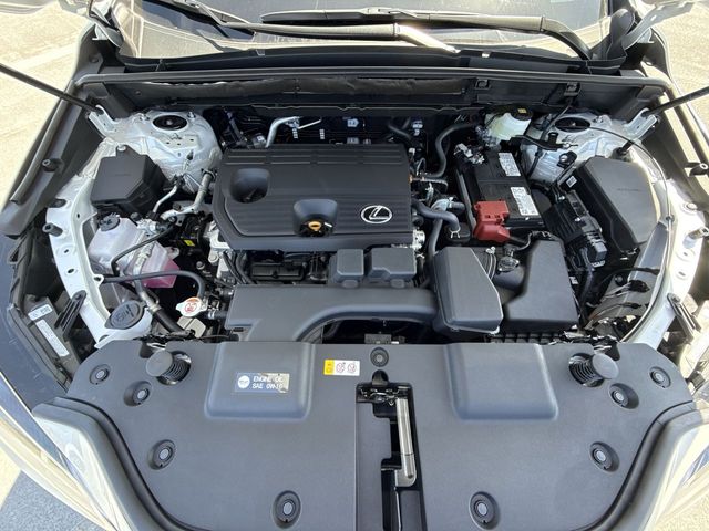 2025 Lexus NX - $42,888