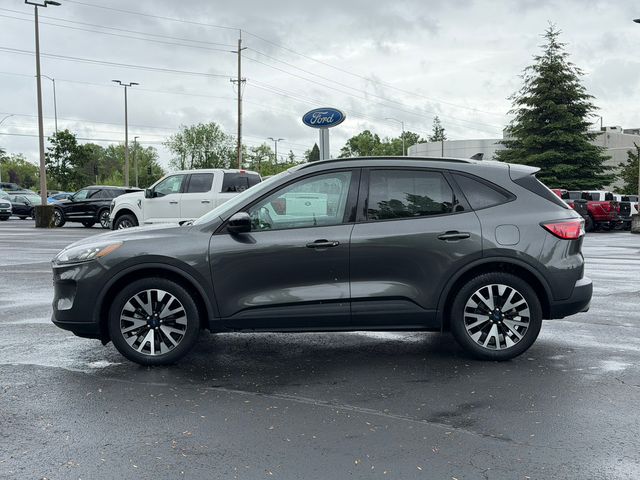 used 2020 Ford Escape Hybrid car, priced at $21,995