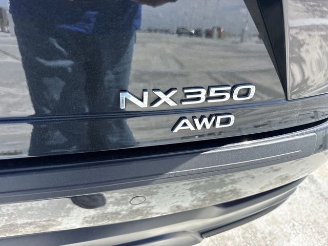 2025 Lexus NX - $46,888
