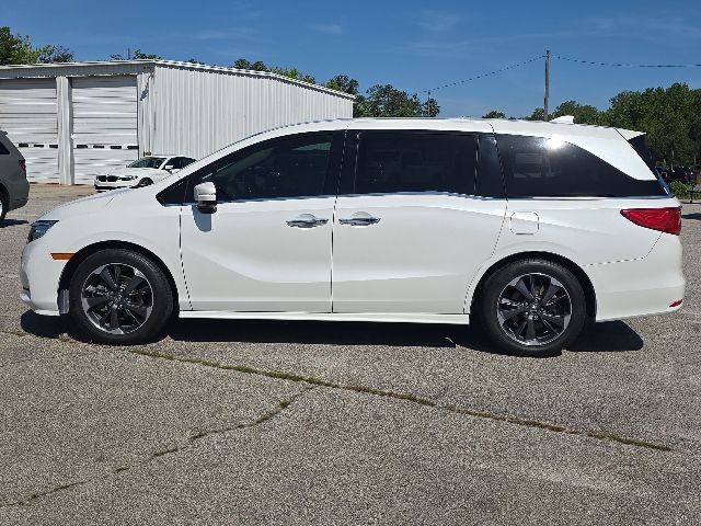 2023 Honda Odyssey Elite:B02324
