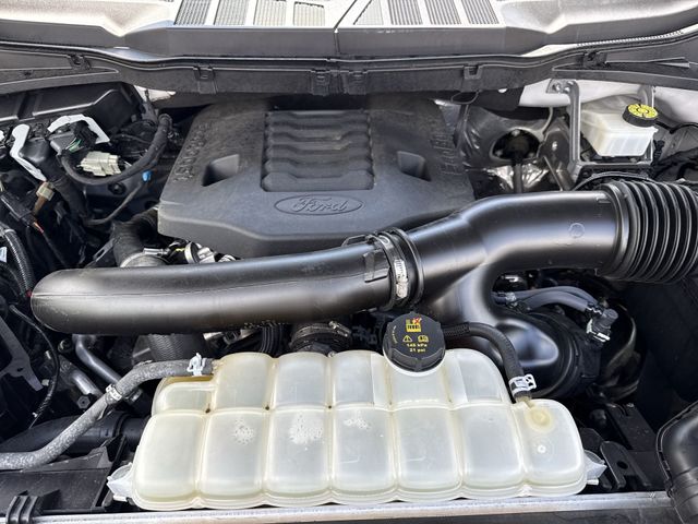 Used 2023 Ford F-150 Truck