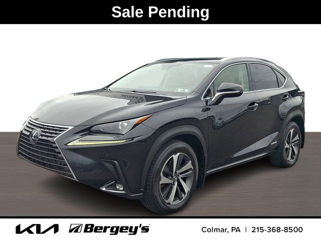 2020 Lexus NX Hybrid 300h AWD