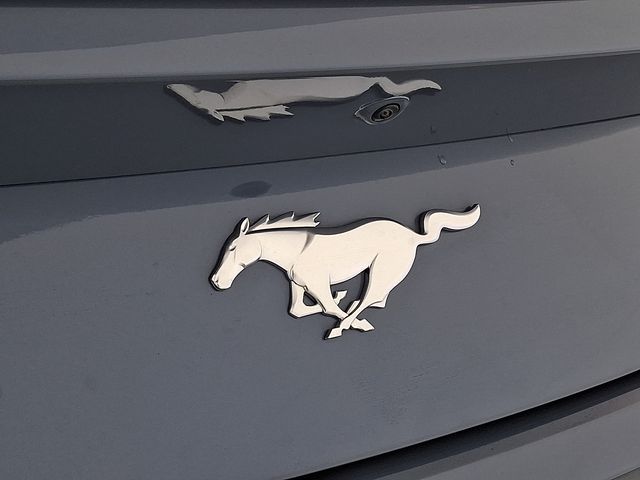 Used 2024 Ford Mustang Coupe