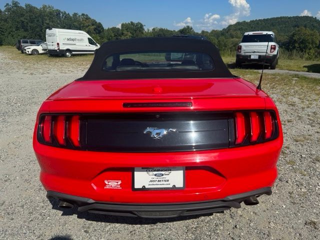 Used 2022 Red Ford EcoBoost Premium image 6