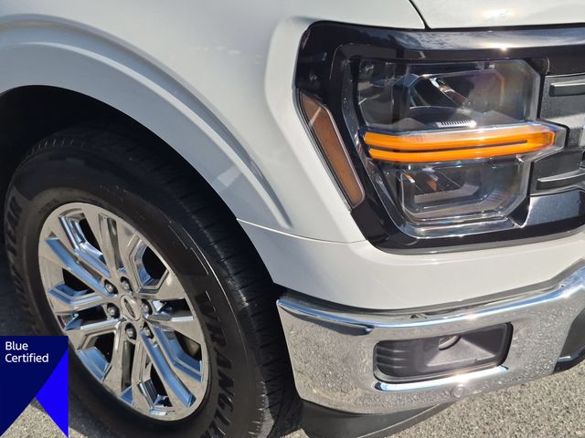 Used 2024 White Ford XLT image 9
