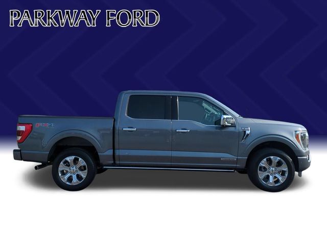 Used 2023 Carbonized Gray Metallic Ford Platinum image 6