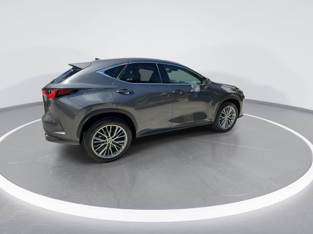 2023 Lexus NX - $41,898