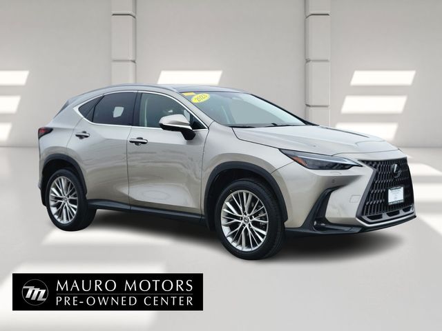 2023 Lexus NX 350 Luxury AWD