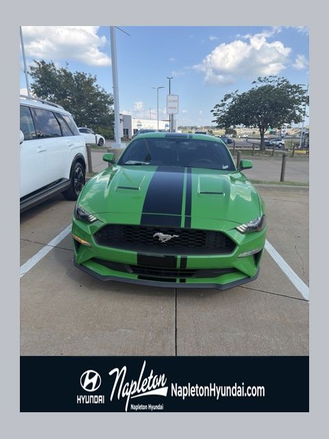 Green 2019 Ford Mustang Coupe Rear-Wheel Drive 6-Speed Manual