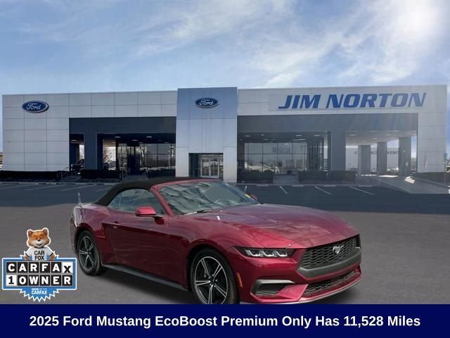 Pink (Magenta) 2025 Ford Mustang Convertible Rear-Wheel Drive Automatic