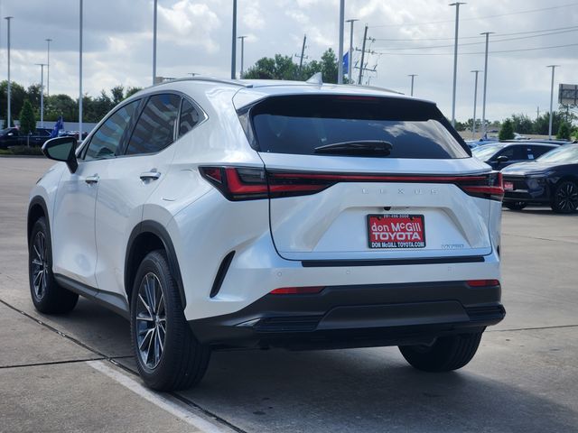 2025 Lexus NX 250 Premium White at Gullo Toyota