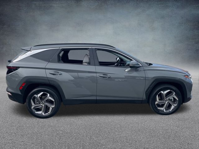 2024 Hyundai Tucson Limited 5