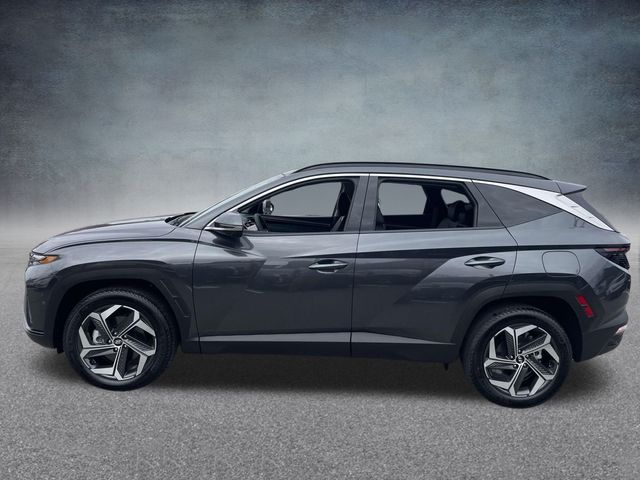 2024 Hyundai Tucson Limited 11