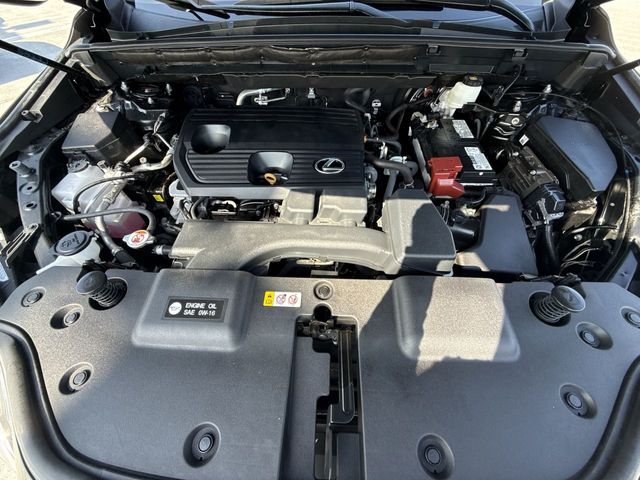 2024 Lexus NX - $39,998