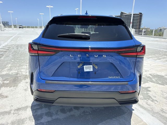 Used 2025 Lexus NX SUV