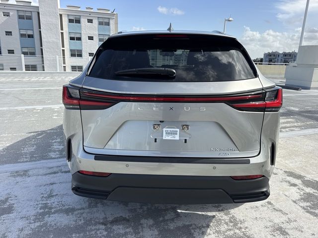 Used 2024 Lexus NX SUV