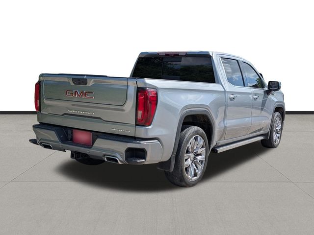 2023 GMC Sierra 1500 Denali - 4