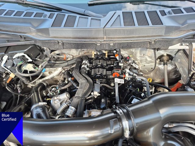 Used 2024 White Ford XLT image 37