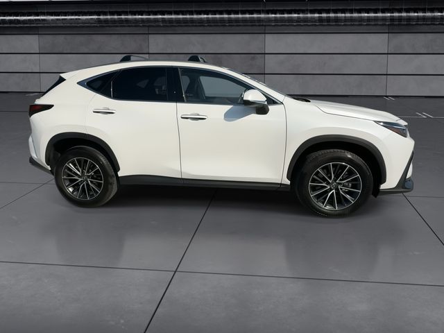 2025 Lexus NX - $47,998