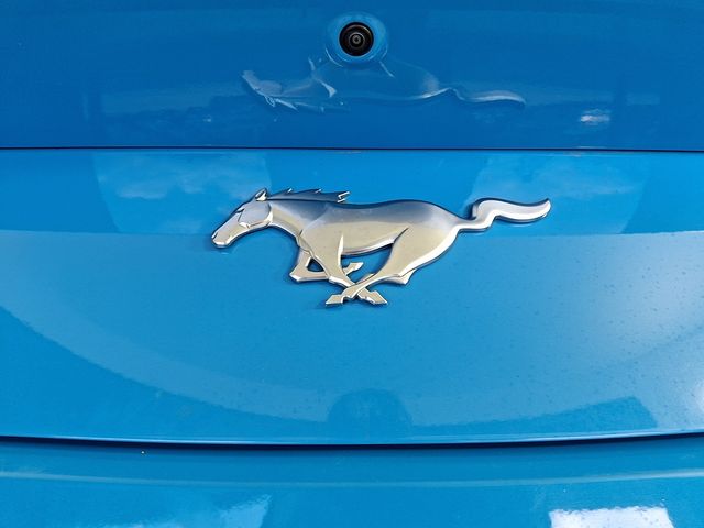 2024 Ford Mustang EcoBoost Premium - Photo 38