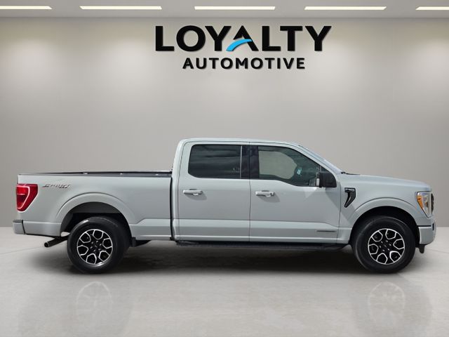 Used 2023 Ford F-150 Truck