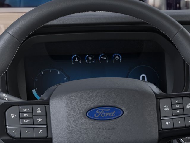 New 2026 Black Ford Platinum image 13