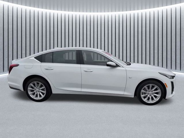 View vehicle photo 4