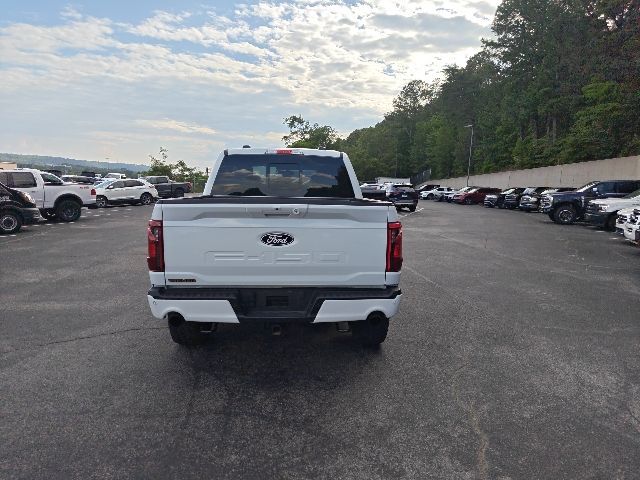 2025 Oxford White Ford F-150 Tremor 4X4 Truck