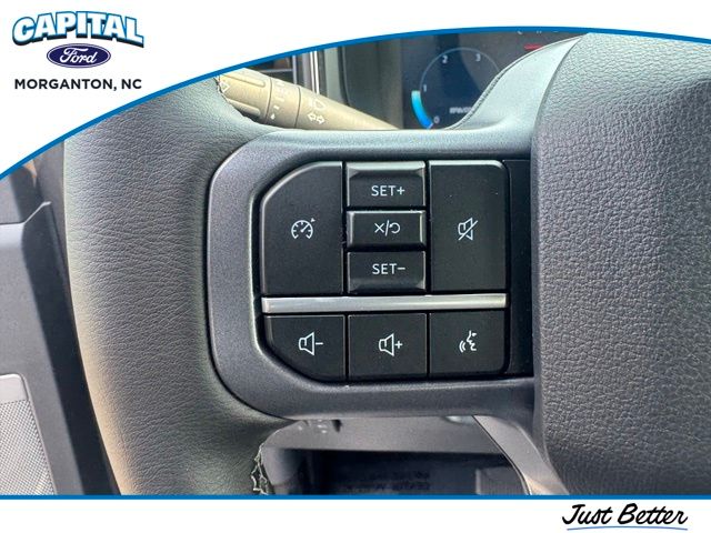 New 2026 Gray Ford Lariat image 18