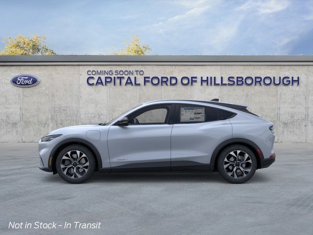New 2026 Gray Ford Select image 3