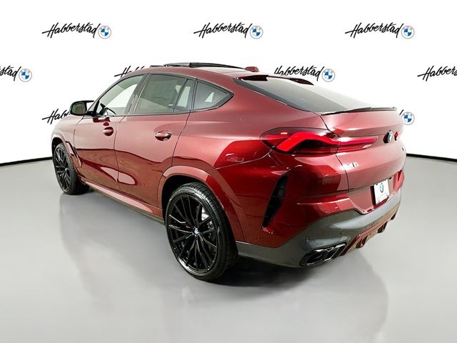 2025 BMW X6  7