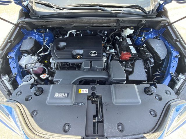 Used 2025 Lexus NX SUV