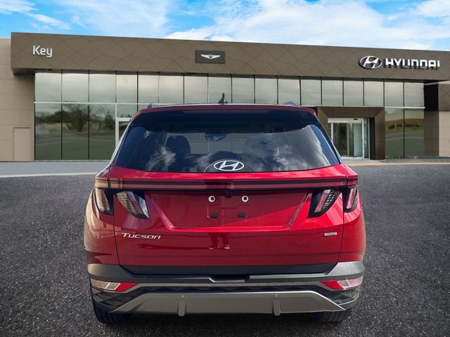 2024 Hyundai Tucson - Image 6