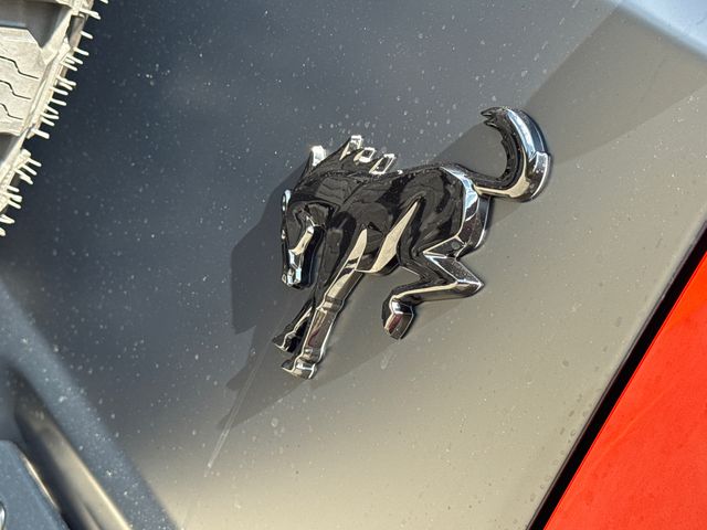 New 2025 White Ford Stroppe image 9