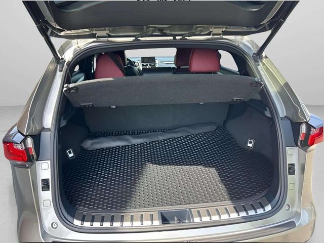 LexusNX14