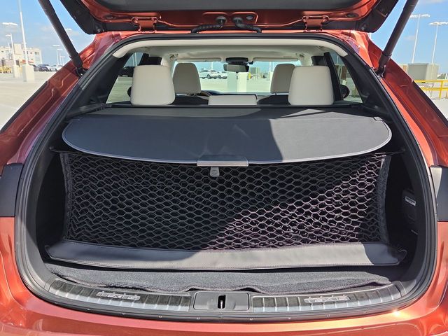 2025 Lexus RX