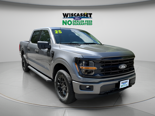 Gray Metallic 2025 Ford F-150 Pickup Truck Four-Wheel Drive Automatic