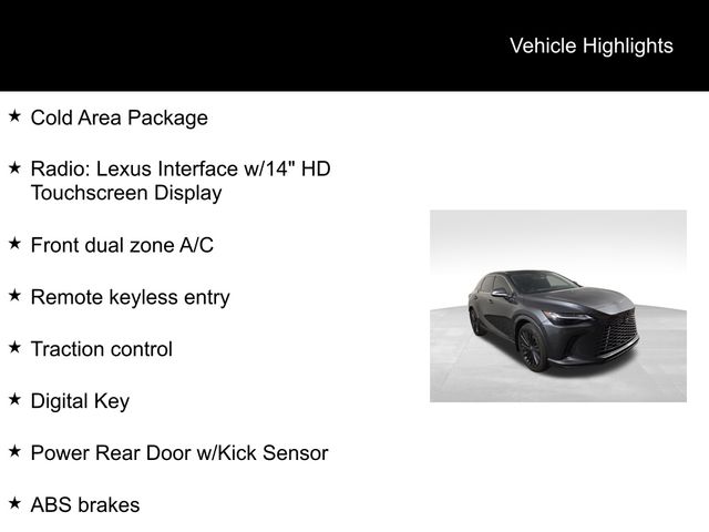 2024 Lexus RX RX photo