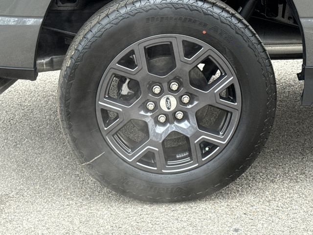 New 2026 Gray Ford STX image 11