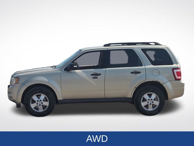 2010 Ford Escape XLT