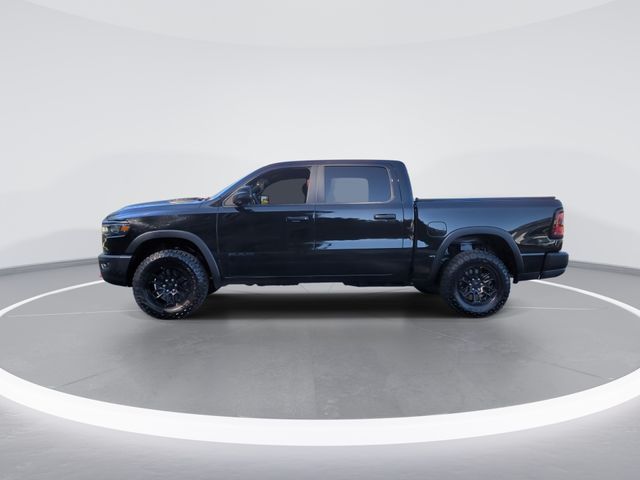 Used 2025 Black Ram Rebel image 5