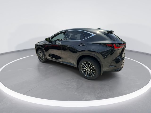 Used 2024 Lexus NX SUV