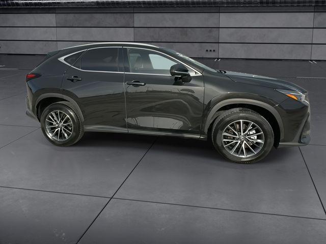 2025 Lexus NX - $47,998