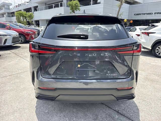 Used 2024 Lexus NX SUV