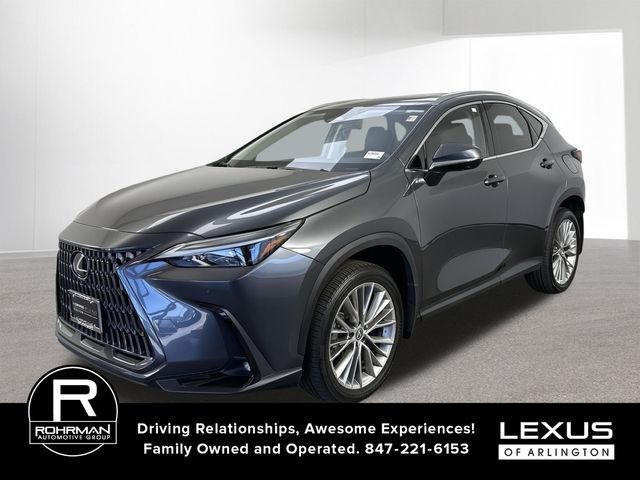 Cloudburst Gray 2025 Lexus NX SUV / Crossover All-Wheel Drive 8-Speed Automatic