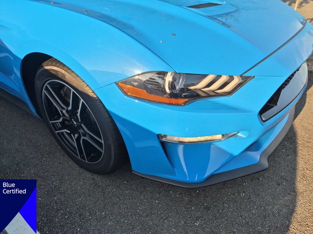 Used 2022 Grabber Blue Ford GT image 9