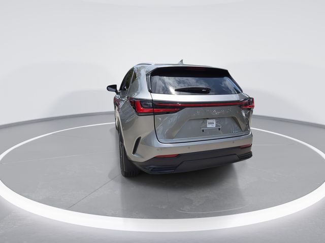 Used 2025 Lexus NX 250 Premium in Hollywood FL | 2T2GDCAZ1SC017217