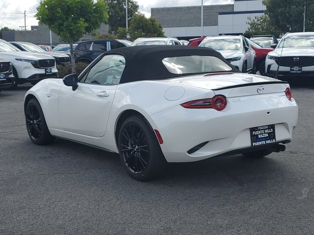Miniatura 19