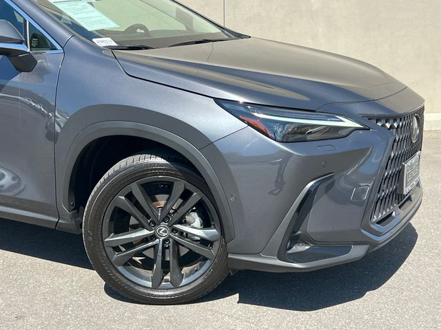 Used 2025 Lexus NX SUV